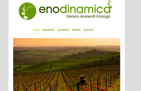 Enodinamica